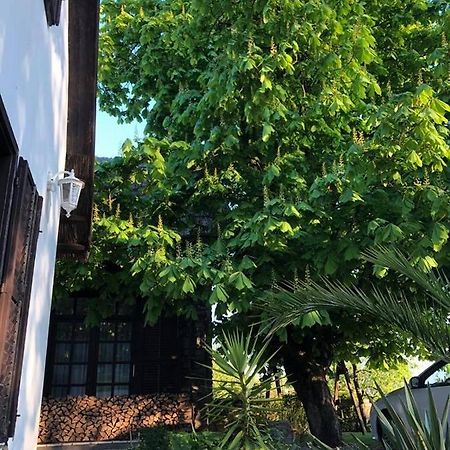 Echo Apartman ตีฮานี ภายนอก รูปภาพ