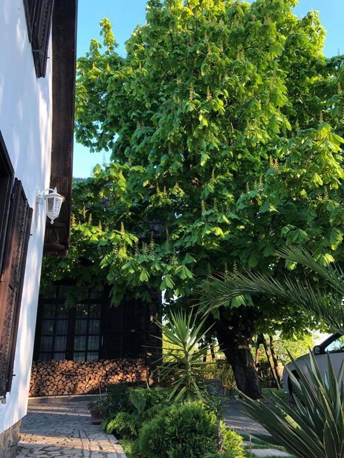 Echo Apartman ตีฮานี ภายนอก รูปภาพ